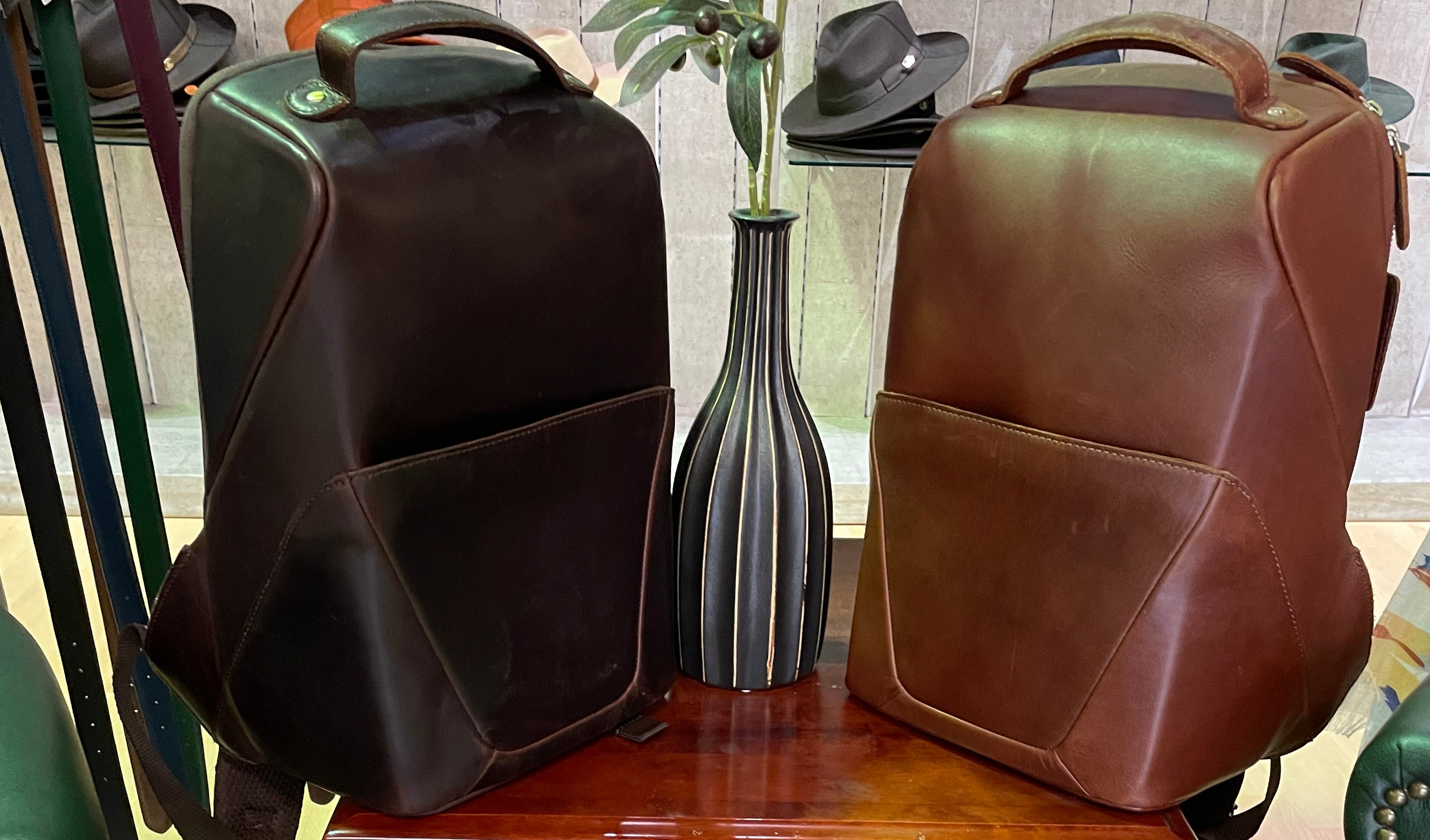 Luxury Bagpack