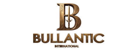 B INTERNATIONAL