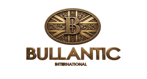 B INTERNATIONAL