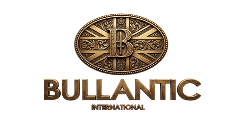 B INTERNATIONAL